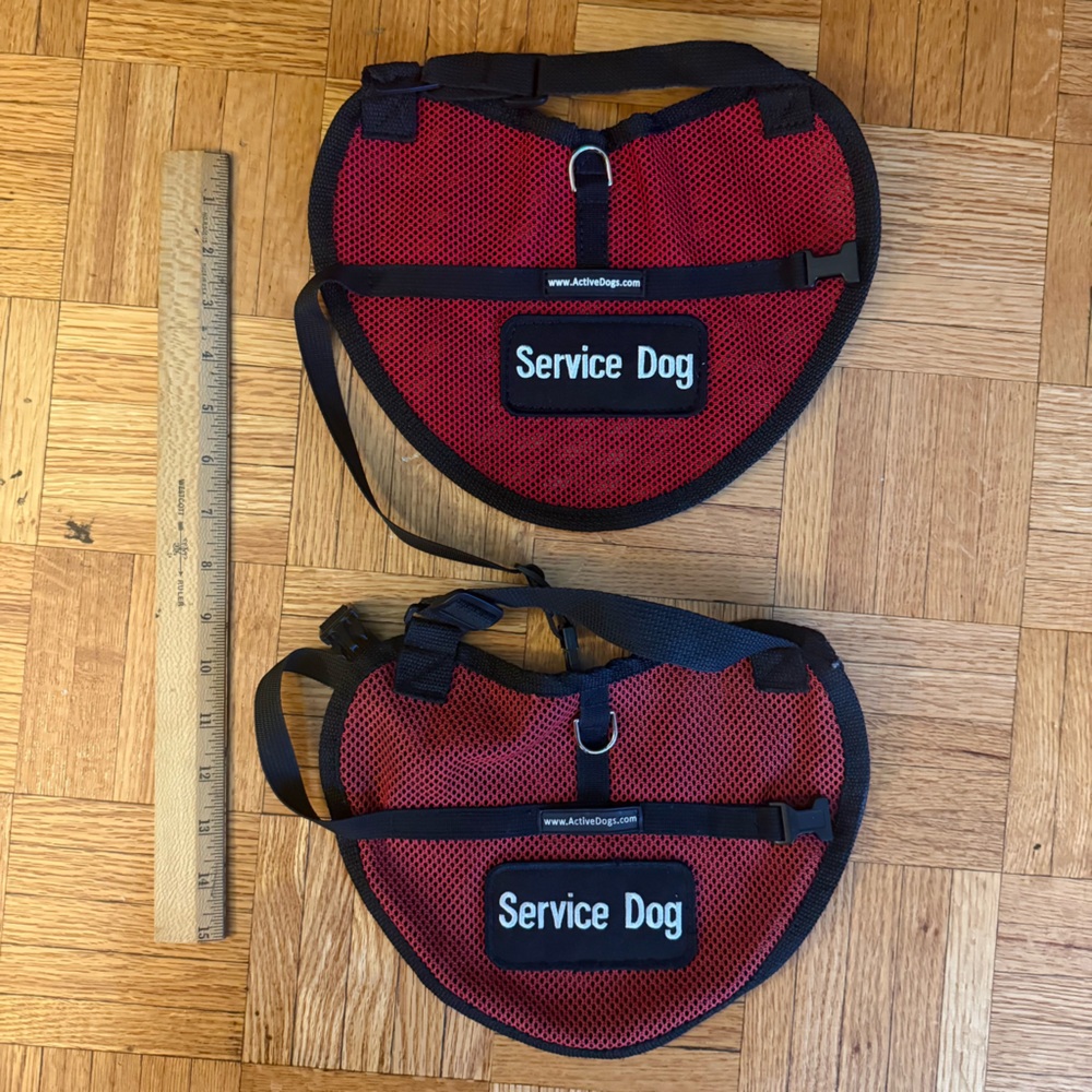 Take your XXS Dog Anywhere!  Therapy Harness Vest for your Service Dog